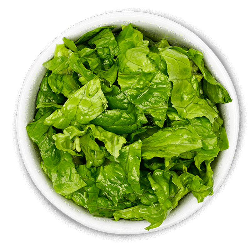 Boojum Salads Choose your own Fresh Mexican Fillings…